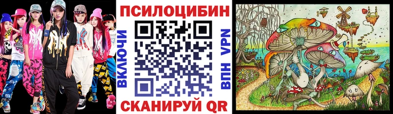 купить наркоту  дарк нет клад  Псилоцибиновые грибы Magic Shrooms  Кувшиново 