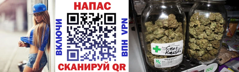 MEGA ONION  Кувшиново  Каннабис гибрид 